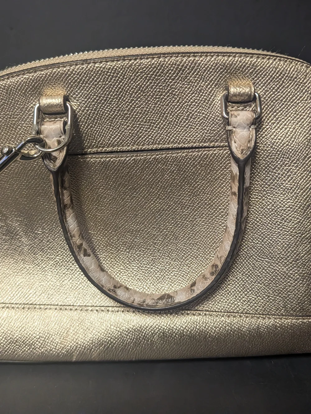 Coach Metallic Silver Leather Mini Sierra Satchel Bag F38057 Snakeskin Trim
